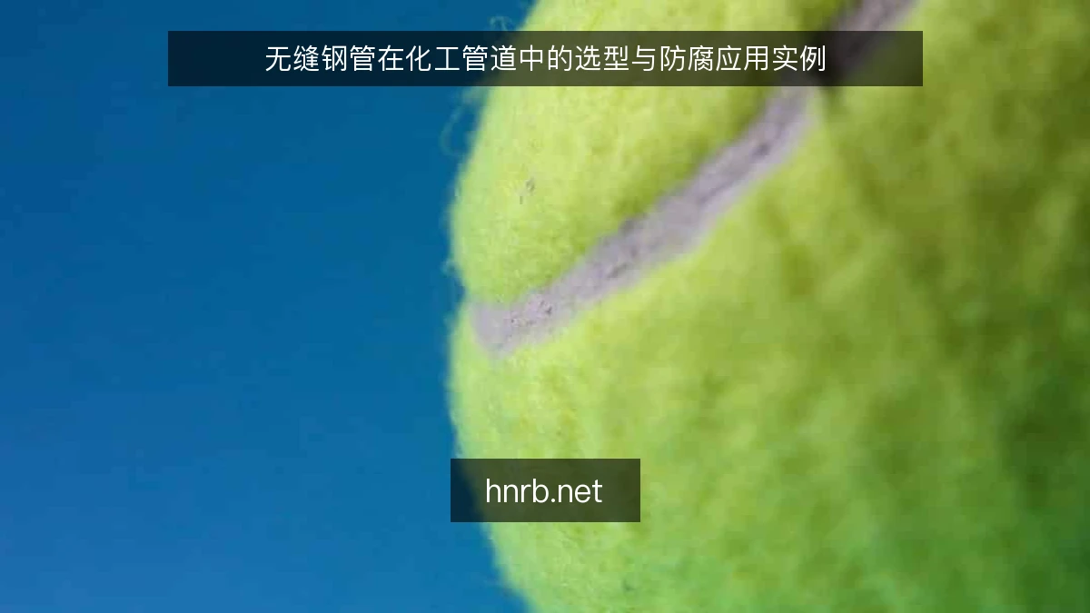 无缝钢管在化工管道中的选型与防腐应用实例