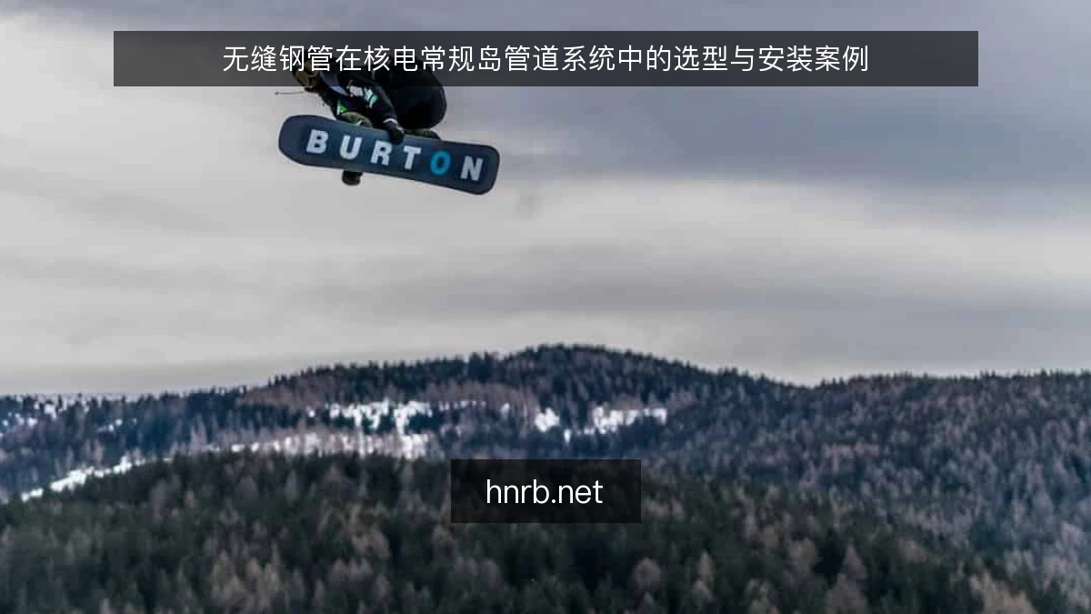 无缝钢管在核电常规岛管道系统中的选型与安装案例