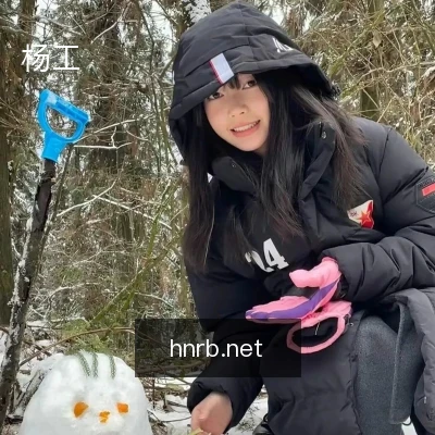 杨工